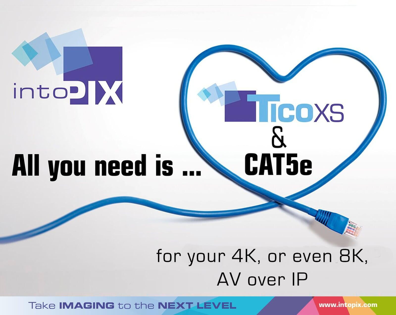確定最適合您的乙太網電纜：CAT5、CAT5e、CAT6 等